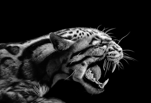 ANGER  Imprimer